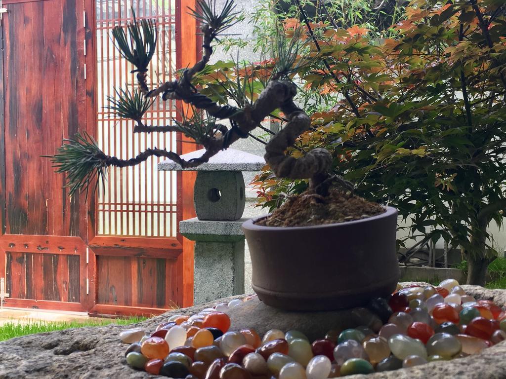 Bo Nan Homestay Dali  Exterior photo